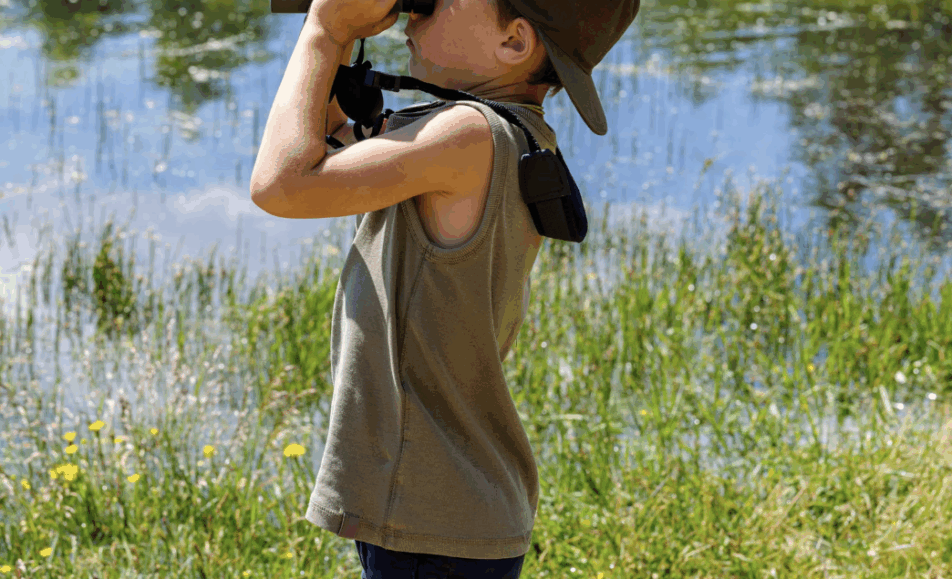 World Migratory Bird Day